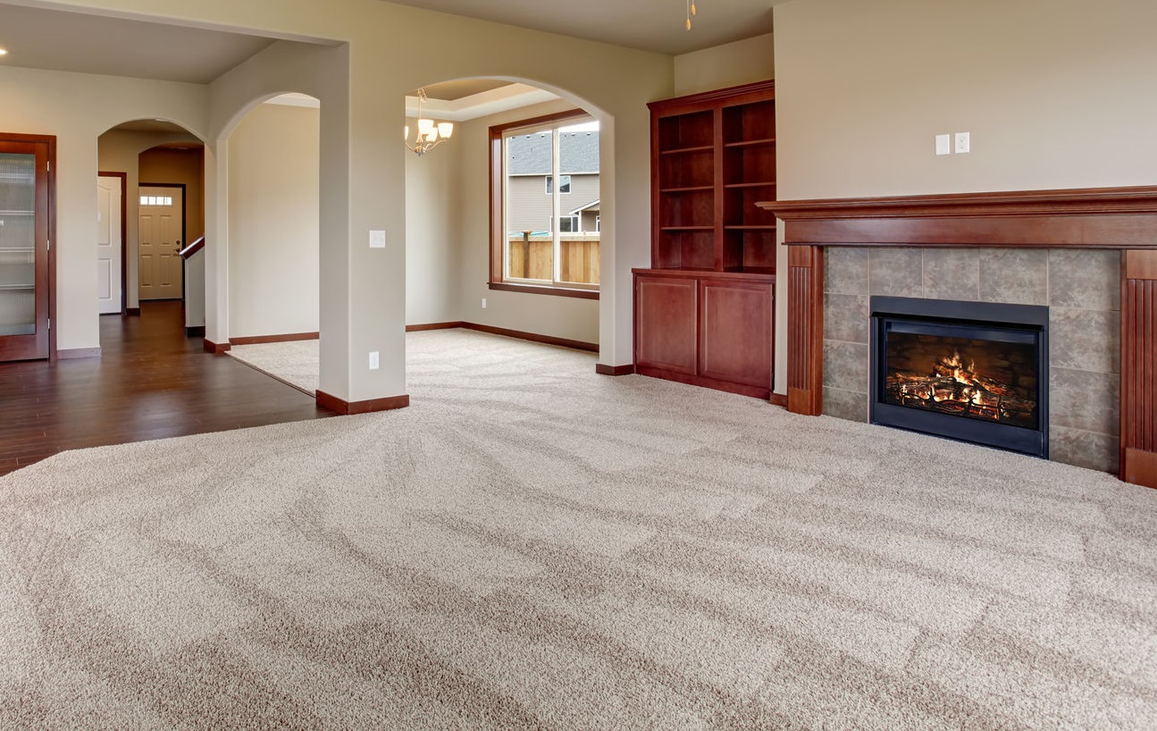 Carpet / Cleaning Service Big Dog Restoration